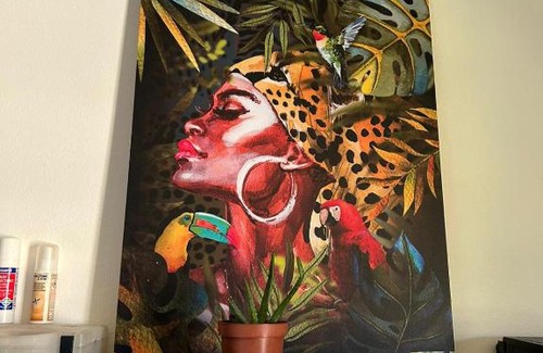 Cayenne Apartment | Le Duplex de Sainte Thérèse