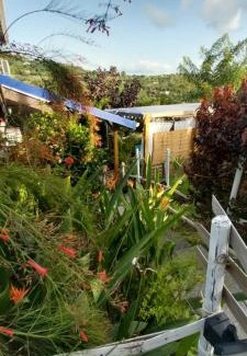 Le Carbet Apartment | Le LiloVert - Studio 24 m2
