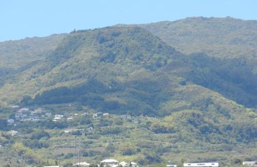 Sainte-Clotilde Centre Apartment | Le Lobellia à Sainte Clotilde centre