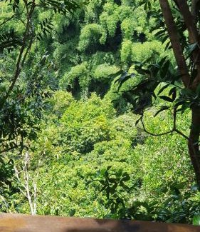 Sainte-Suzanne Apartment | Le lodge origin