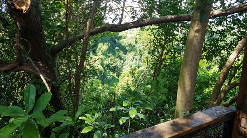 Sainte-Suzanne Apartment | Le lodge origin