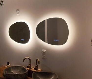 Bar-sur-Aube Apartment | Le loft