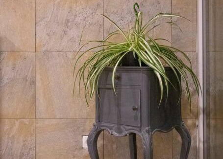 Ettendorf Apartment | Le Logis d'Alsace, Wifi,TV,Parking,70 m2