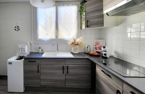 Faubourg-Raines Apartment | LE LOGIS DE L'ARQUEBUSE GARE, Centre ville et Cité Gastronomique