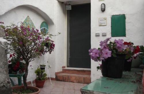 Benincasa House | Le Mimose