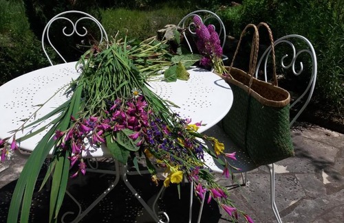 La Rouquette Bed & Breakfast | Le moulin des cavaliers