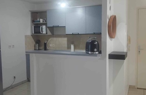 Sainte-Clotilde Apartment | Le Papangue magnificent ocean view in a quiet location close to all amenities