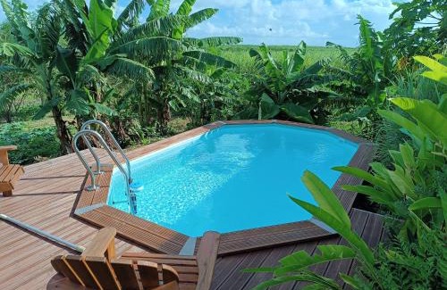 Anse-Bertrand House | Le Paradis des Colibris Gîte créole avec piscine table dhôtes et nature à Anse Bertrand