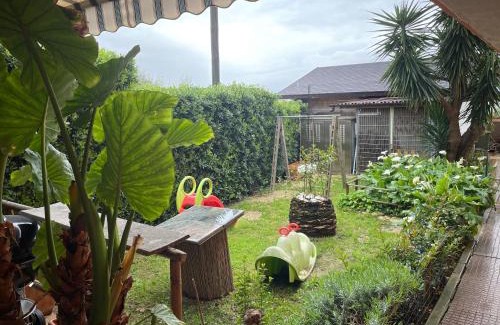 Pianella Bed & Breakfast | Le Pianelle