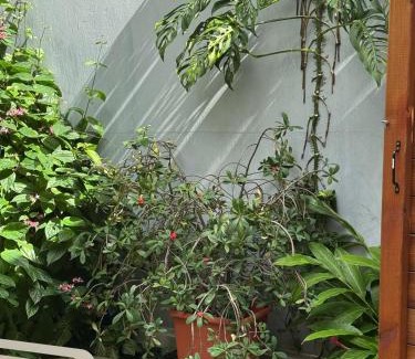 Saint-Denis Apartment | le studio des manguiers