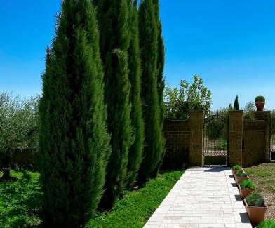 Lucera Bed & Breakfast | Le Tre Lune B&B