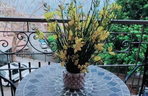 Taormina Apartment | Le Tre Orchidee - Taormina