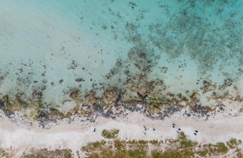 Sant'Isidoro House | Le Ville di Sofia by BarbarHouse