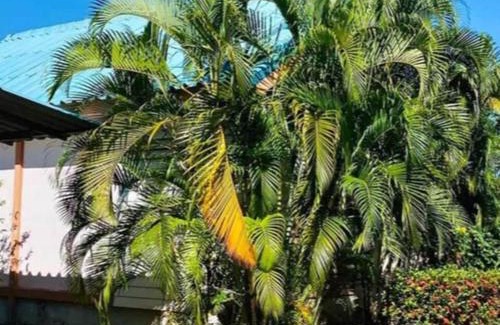 Amnat Charoen Hotel | Leelawadee View Resort (Amnatcharoen)