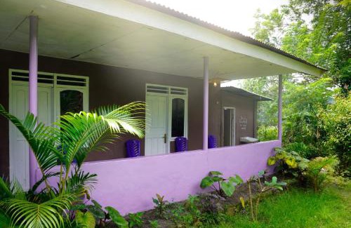 Moni House | Legend Guesthouse