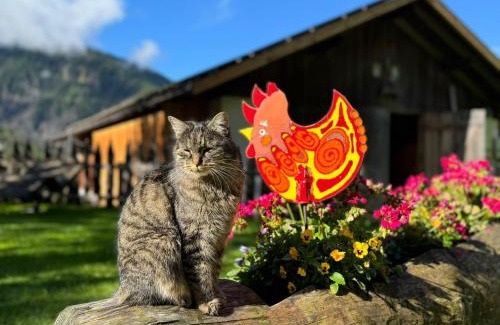 Luson Apartment | Lehrnerhof Lüsen