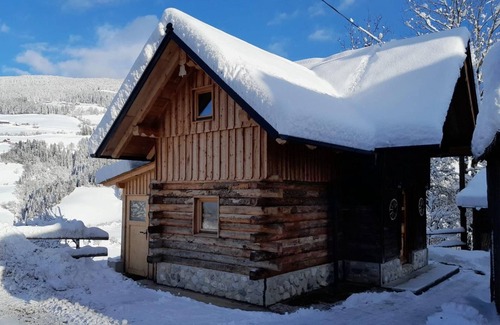 Donnersbach Apartment | Leitnerbauer`s Troadkasten - Appartement/fewo, Dusche, WC, 1 Schlafraum