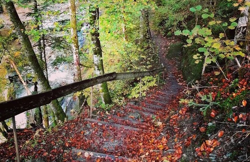 Donnersbach Apartment | Leitnerbauer`s Troadkasten - Appartement/fewo, Dusche, WC, 1 Schlafraum