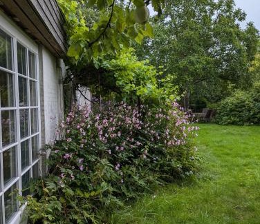 Graested Apartment | Lejlighed ved skov