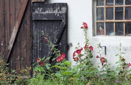 Graested Apartment | Lejlighed ved skov