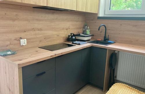 Jaszowiec Apartment | Lemon