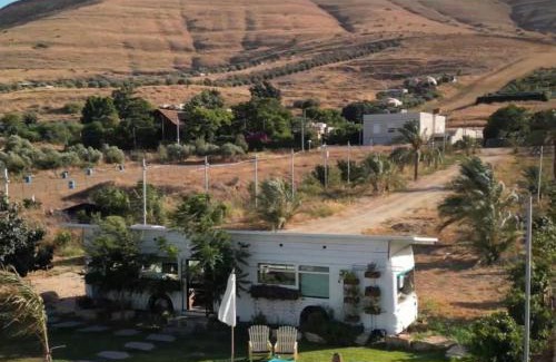 Menahemia Other | Leobus-לאו באס