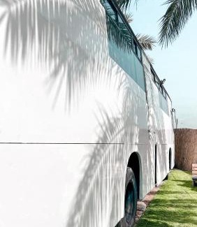 Menahemia Other | Leobus-לאו באס