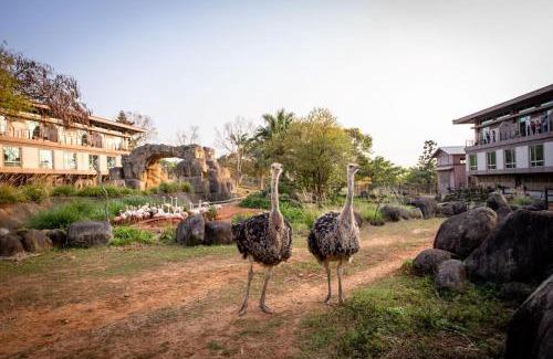 Guanxi Resort | Leofoo Resort Guanshi