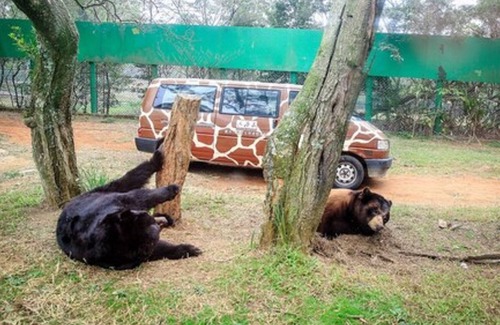 Guanxi Hotel | Leofoo Resort Guanshi