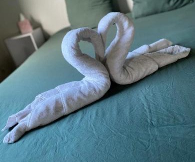 Ecuille Other | Les Cancans du Clos