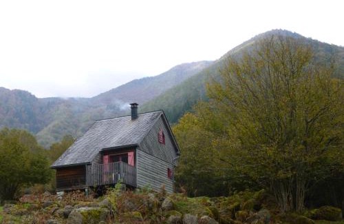 Osse-en-Aspe Ski Chalet | Les chalets de la forêt d'Issaux