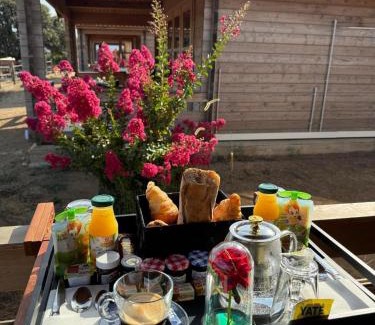 Occhiatana Ski Chalet | Les Chalets De Tesa 2