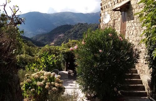 Zicavo Ski Chalet | les chalets et gite du haut taravo