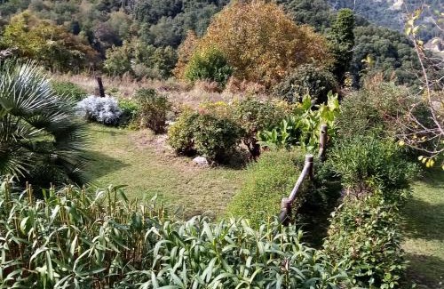 Zicavo Ski Chalet | les chalets et gite du haut taravo