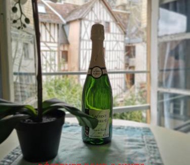 Old Town Apartment | Les Cieux de la Cathédrale - Calme - Jardin - Wifi