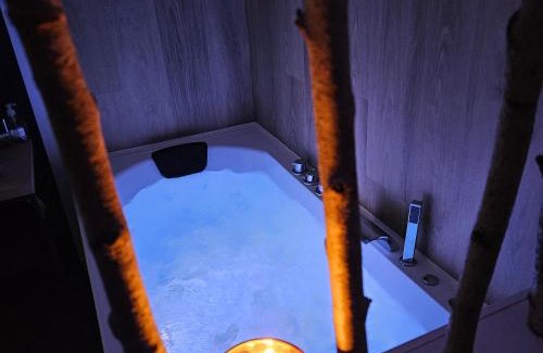 Quinssaines Apartment | Les Cocons d AleXan Le studio balnéo aromathérapie