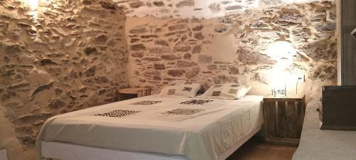 Saint-Andre-de-Majencoules House | Les Deux Voutes de Camias - Gite en Cévennes