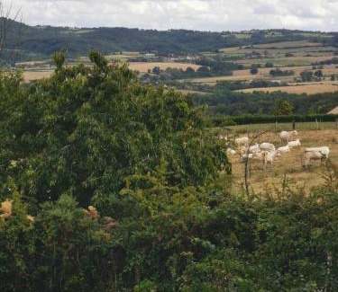 Ebreuil Villa | Les Gites de Louisette 1886