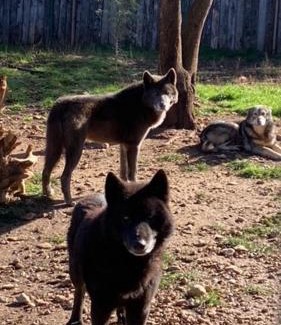 Ginasservis Apartment | les gites du parc animalier de ginasservis