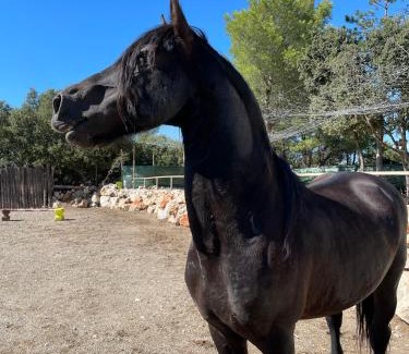 Ginasservis Apartment | les gites du parc animalier de ginasservis