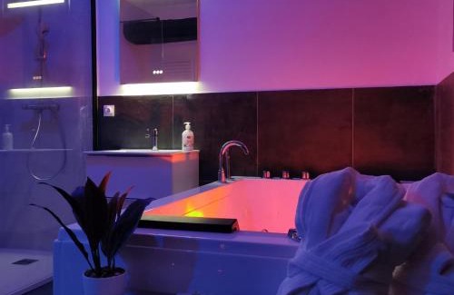 Mezy-sur-Seine Apartment | Les Sansonnets Appart & Spa