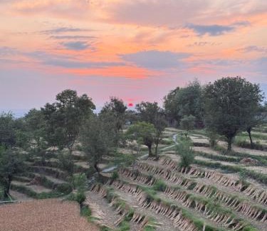 Suja House | Let's Take it Easy Bir