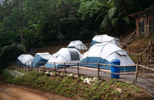 Cisarua Resort | Levi Camp