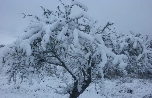 Villa Yacanto House | Libertad