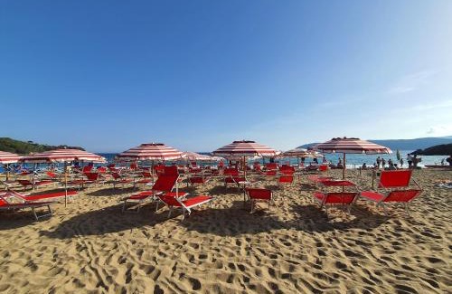 Lido di Capoliveri Apartment | Lido I Palmizi