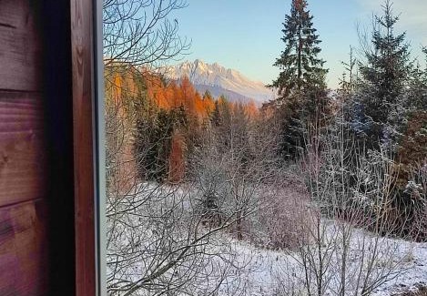 Spisske Bystre Other | Lietadlo v lese