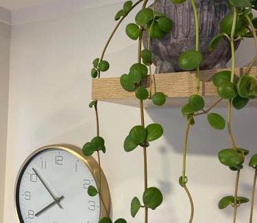 Tutukaka Apartment | Lighthouse Apartment - Tūtūkākā