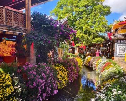 Dayan Old Town House | Lijiang Old Town Moju Homestay, Sifang Street Branch