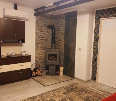 Sector 1 House | Liliana Home