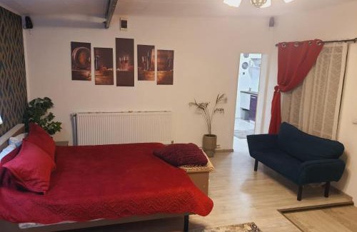 Sector 1 House | Liliana Home